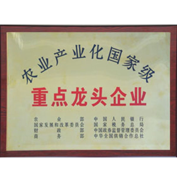農業(yè)產業(yè)化國際級重點龍頭企業(yè)