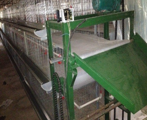 蛋雞設(shè)備傳送帶式清糞機(jī)常見的這些問題你都知道嗎？
