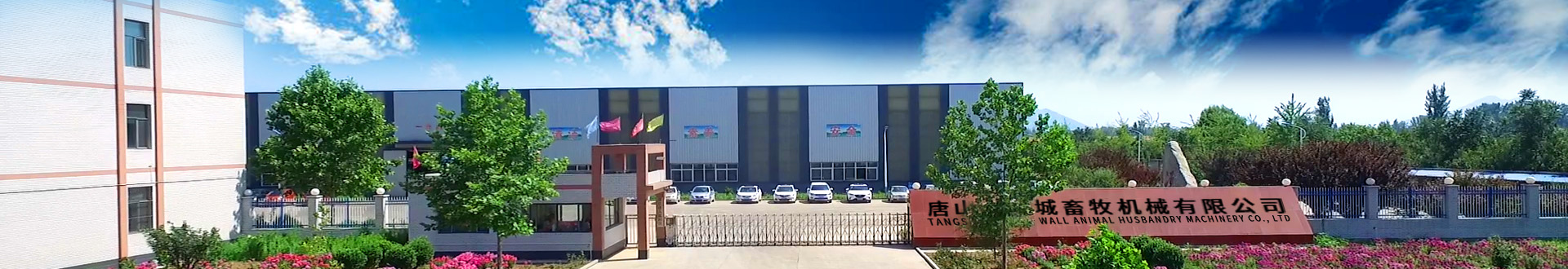 蛋雞設(shè)備 蛋雞設(shè)備