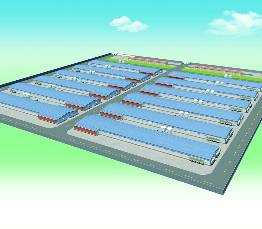 肉雞場解決方案 肉雞場解決方案
