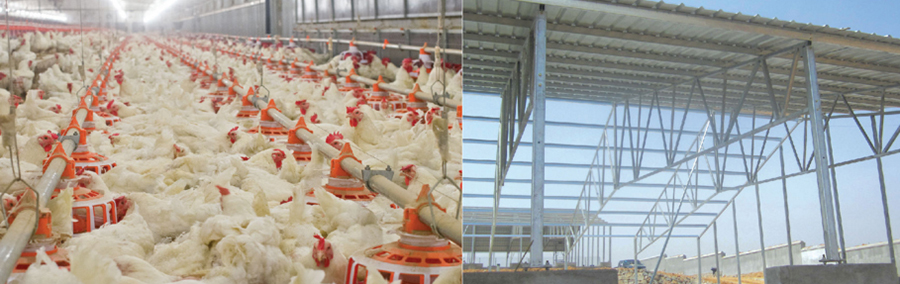 20170617153045_1506.jpg 20170617153045_1506.jpg