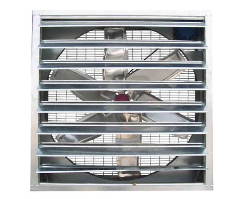 如何確保蛋雞設(shè)備有效通風(fēng)？