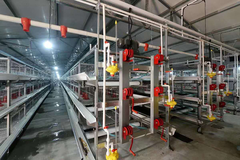 肉雞設(shè)備喂料機(jī)為什么會(huì)堵塞？