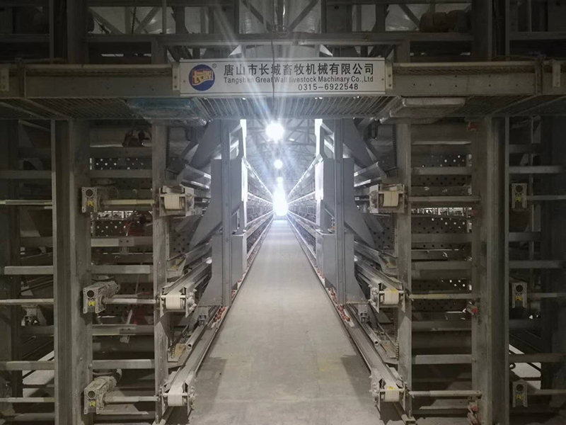 蛋雞設備自動喂料機的保養(yǎng)方法配料順序 蛋雞設備自動喂料機的保養(yǎng)方法配料順序