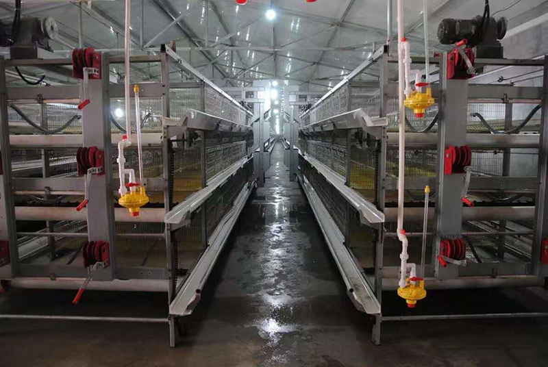 你知道肉雞設(shè)備加料機(jī)的組成嗎？