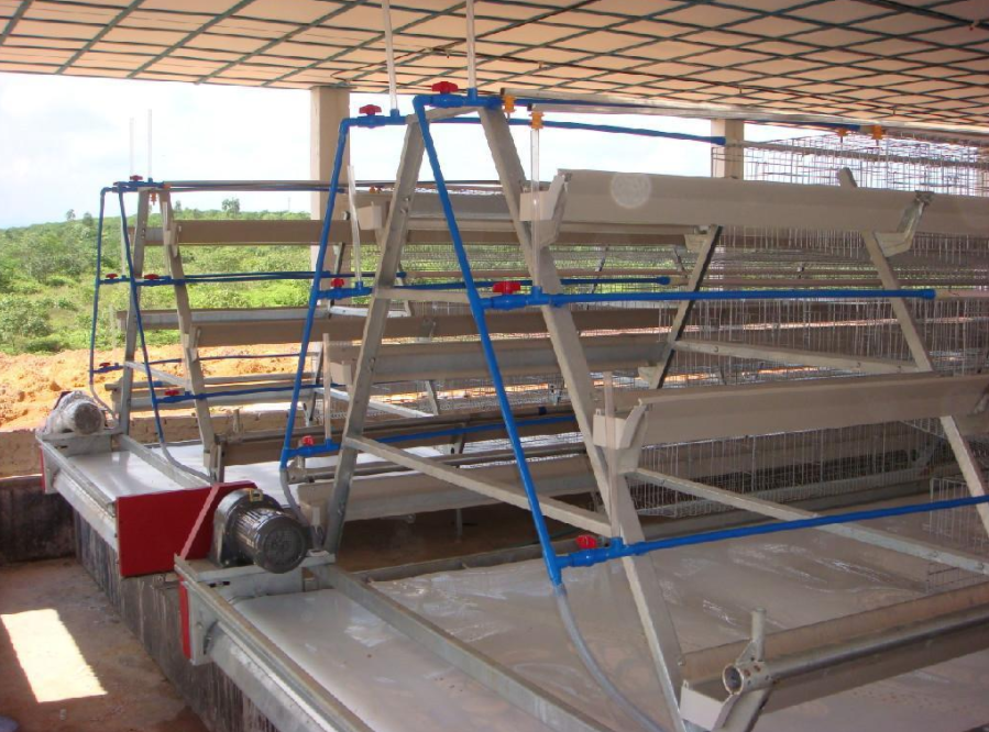 檢修全自動(dòng)養(yǎng)雞設(shè)備的安全有什么需要注意的事項(xiàng)嗎？