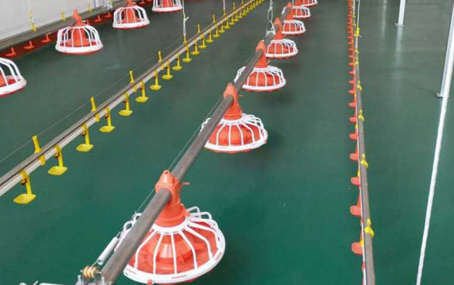 全自動養(yǎng)雞設(shè)備水線的這兩個問題你都知道嗎？