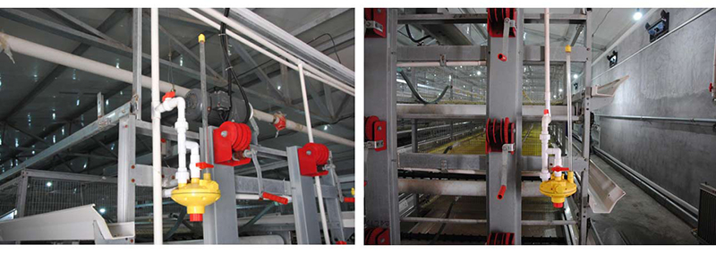 肉雞自動飲水系統(tǒng)