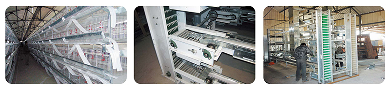 蛋雞集蛋系統(tǒng) 蛋雞集蛋系統(tǒng)