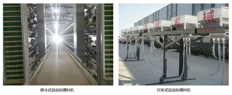 蛋雞自動送料系統(tǒng) 蛋雞自動送料系統(tǒng)