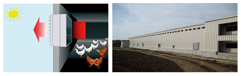 蛋雞遮光罩 蛋雞遮光罩