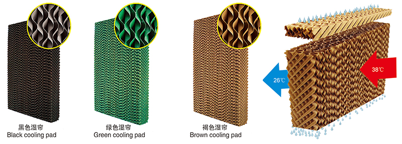 蛋雞降溫濕簾 蛋雞降溫濕簾