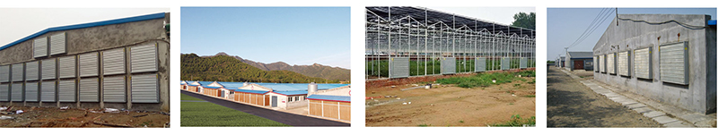 蛋雞通風(fēng)系統(tǒng) 蛋雞通風(fēng)系統(tǒng)