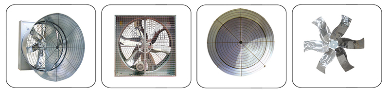 蛋雞通風(fēng)系統(tǒng) 蛋雞通風(fēng)系統(tǒng)