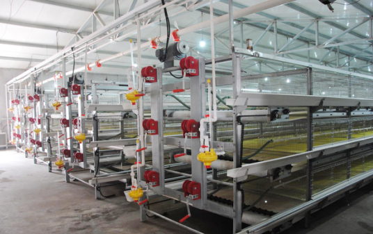 1535710768590351.jpg 201707080859481882904424904.jpg