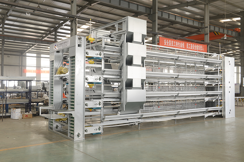 層疊式蛋雞設備 層疊式蛋雞設備