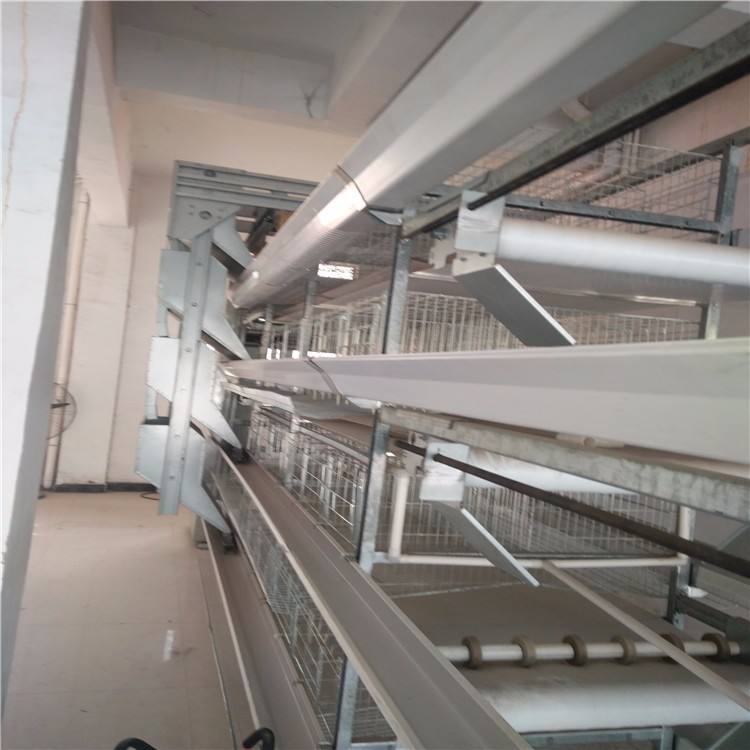 全自動(dòng)養(yǎng)雞設(shè)備 全自動(dòng)養(yǎng)雞設(shè)備